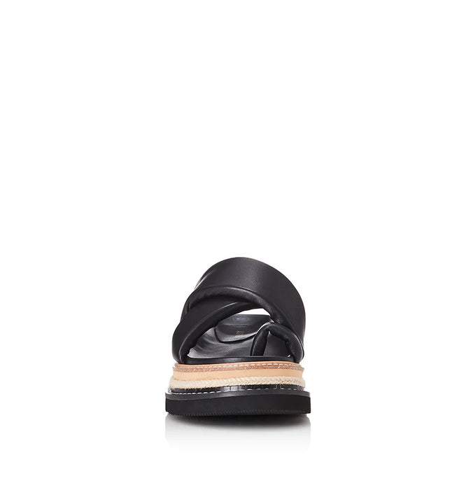 VENGA - BLACK