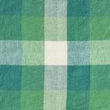 Apple Check / Pinstripe Double Sided Quilt // ~Society of Wanders