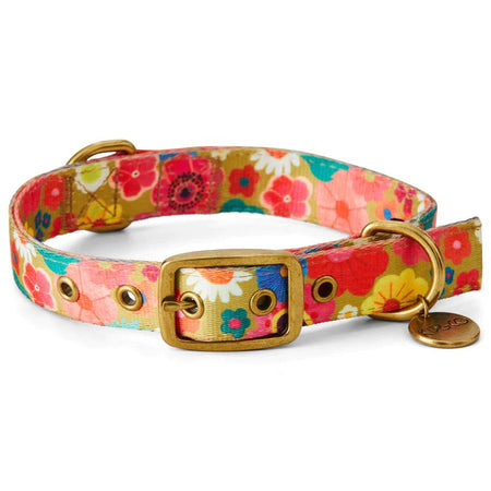 FLOWER BED DOG COLLAR