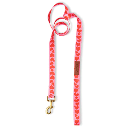 BIG HEARTED DOG LEAD