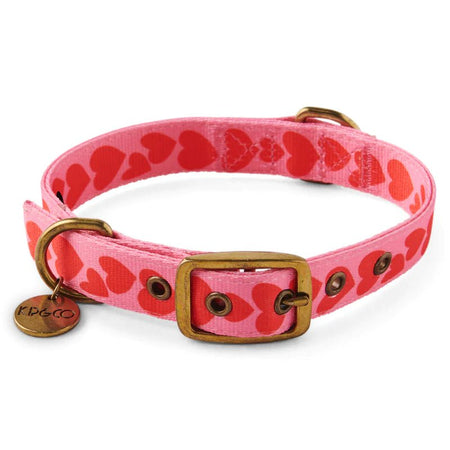 BIG HEARTED DOG COLLAR