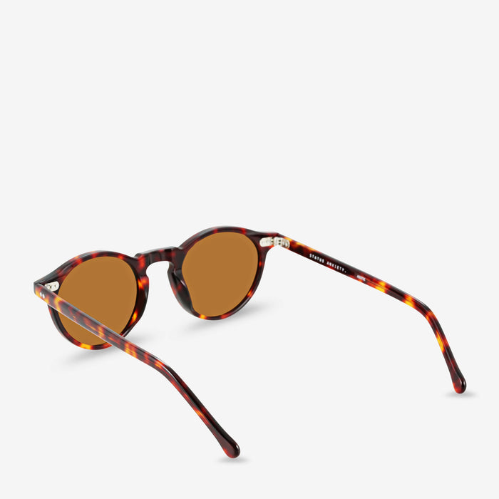Sunglasses // Brown Tort~ ASCETIC ~ Status Anxiety ~